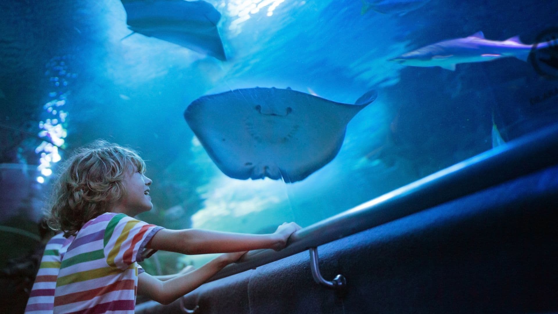 tropicarium.jpg.jpg
